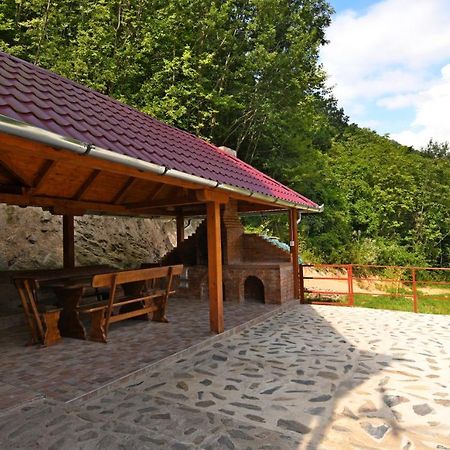 Cabana Oana Retezat Рыу-де-Мори Экстерьер фото
