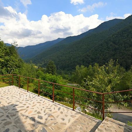 Cabana Oana Retezat Рыу-де-Мори Экстерьер фото