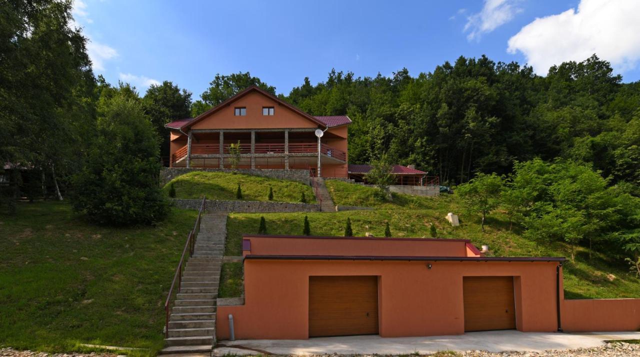 Cabana Oana Retezat Рыу-де-Мори Экстерьер фото