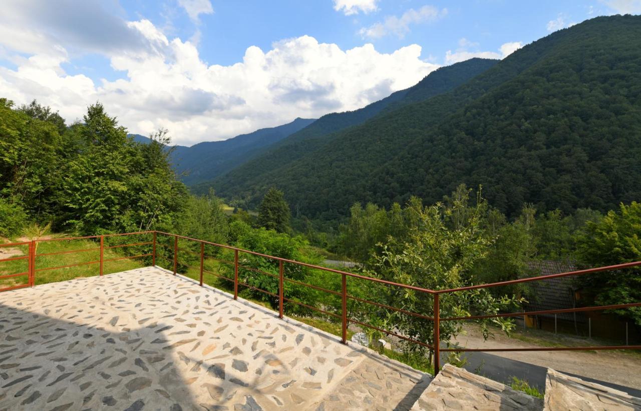 Cabana Oana Retezat Рыу-де-Мори Экстерьер фото